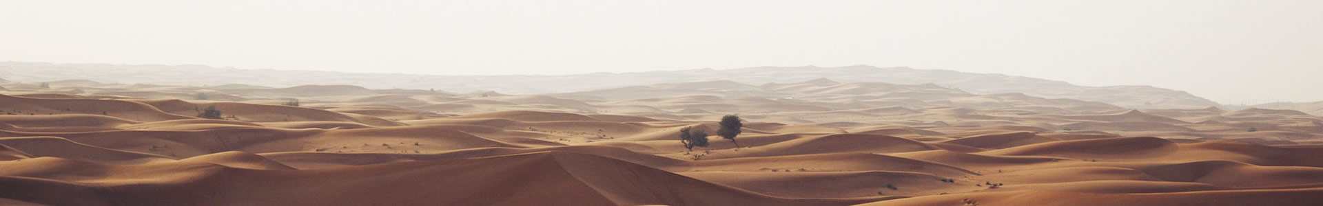 ɽʢó޹˾